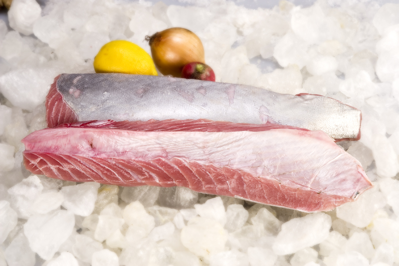 Tuna Belly Premium